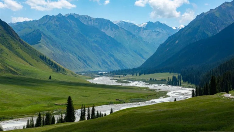 公司治理獲高度認(rèn)可！奇正藏藥入選中上協(xié)“最佳實(shí)踐案例”