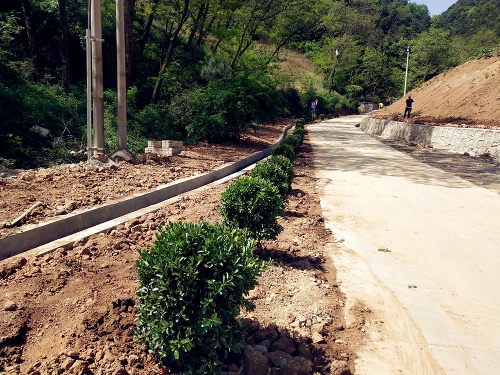 1650961175821936.jpg 1650961175821936.jpg